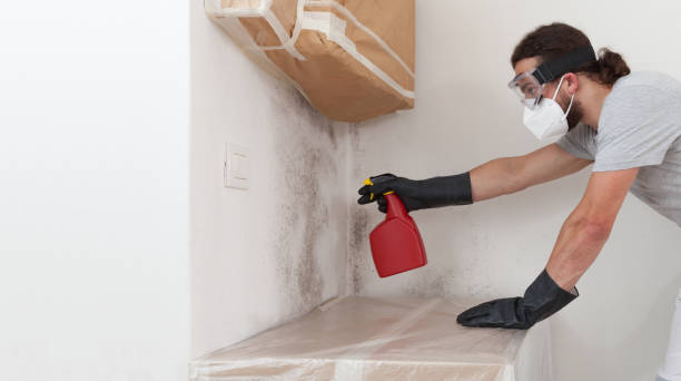 Professional Bathroom Mold Removal technician working in Olney, IL
