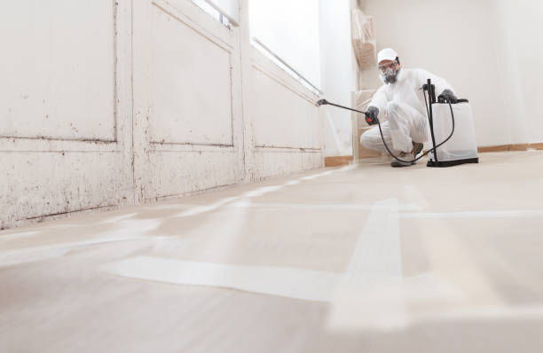 24/7 Emergency Bathroom Mold Removal experts in Olney, IL