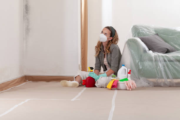 Reliable Bathroom Mold Removal contractor in Olney, IL by Car Mold Remediation